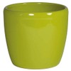 Venus 11/09 Ceramic Flower Pot Reed Green Diameter 14 cm