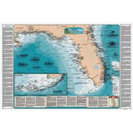 Florida and the Eastern Gulf of Mexico Shipwreck Map Chart-Nautical print poster - Laminated