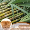 Domensi 200 Pcs Cocktail Straws and Picks Kit 5 Inch