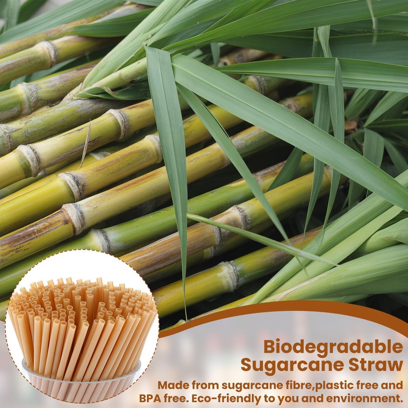Domensi 200 Pcs Cocktail Straws and Picks Kit 5 Inch