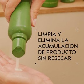 Aveda Be Curly Advanced Shampoo| Cabello Rizado | Limpia, hidrata, elimina la acumulación de productos, rizados, ondulados, Evita el frizz, libre de s