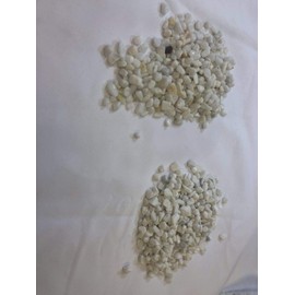 Easythru Exotic Pebbles, Decorative White Bean Pebbles for Outdoor Landscaping or Indoor Projects (Fish Tanks and Potted Plants) 0.8-1.0 cm (40 lbs)