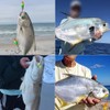 Pompano-Rigs-for-Surf-Fishing-Saltwater-Gear with Double Circle & Wide Gap Hook-6-Pack Surf Fishing