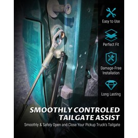 Lichamp Tailgate Assist Compatible with 2009-2018 RAM 1500, 2019-2023 RAM 1500 Classic and 2010-2023 RAM 2500 3500