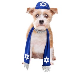 Pets Yarmulke and Tallis Hanukkah Set with Star of David (Medium/Large)