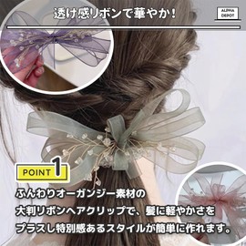 Alpha Depot Hair Clip, Hair Ornament, Tulle Ribbon, Hair Accessory, Korean Style, Women's, Kids, Cute, Stylish, Weddings, Recitals, Parties, Work, School, Gift (Champagne Gold)