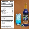 Syruvia Blueberry Syrup For Drinks 25.4 Ounces Blueberry Flavoring Syrup