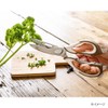 Cainz Easy to Clean Stainless Steel Kitchen Scissors