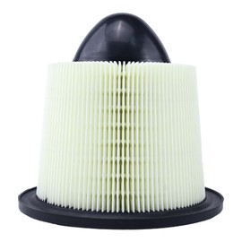 JZGRDN Engine Air Filter A34878 F6ZZ9601A 46418 Compatible with Ford E-150 E-250 E-350 E-450 E-550 Econoline EXCURSION F-150 F-250 F-350 F-450 F-550 F53 LOBO MUSTANG ESPERANTE
