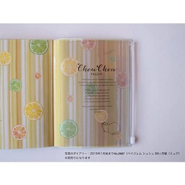 Pocket with Slider B6 Pagem Cat [PCHSP0001]