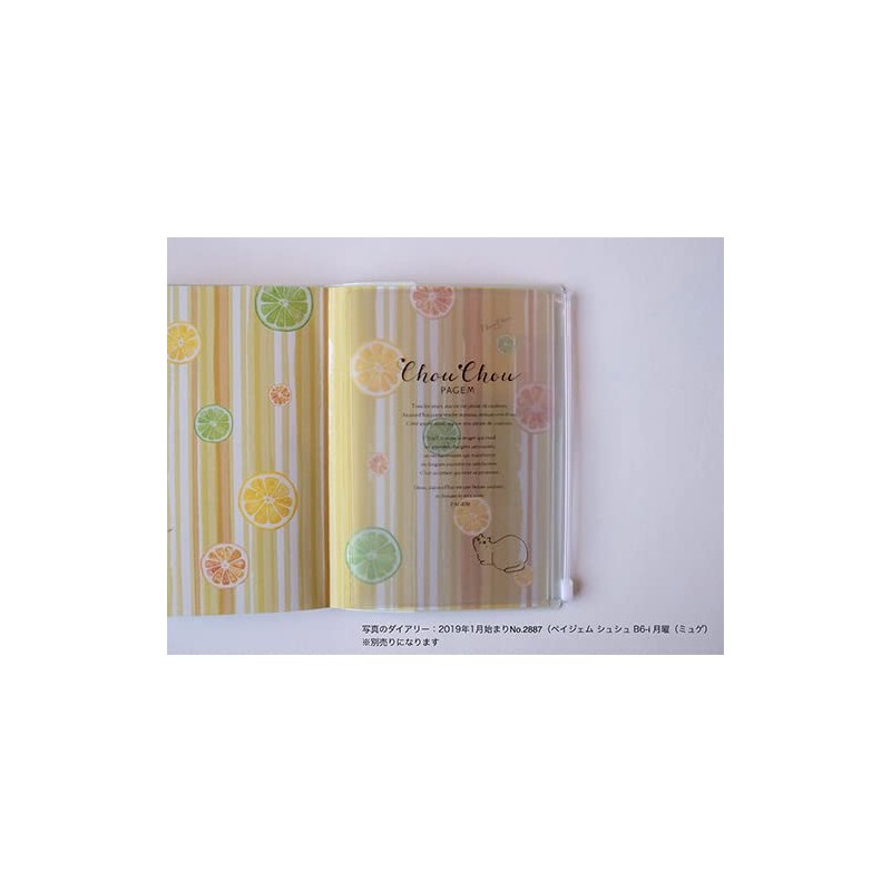 Pocket with Slider B6 Pagem Cat [PCHSP0001]