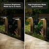 masatak Warm White Solar Pathway Lights 2 Pack - Ultra