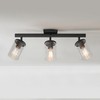 Globe Electric 64000117 24" 3-Light Track Lighting, Matte Black, Seeded