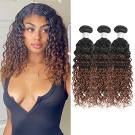 Anmetan 12A Ombre Human Hair Bundles Water Wave, Chestnut Ombre Brown 100% Remy Human Hair Curly 3 Bundle Wet and Wavy Thick 3 Tone Colored #T1B/2/30 Dark Roots Keep Soft After Washes 10 12 14 Inch