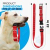 e Collar Replacement Strap - Dog Shock Collar Replacement Strap,