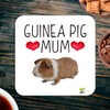 CS864 Guinea Pig Mum Novelty Funny Coffee Tea Drink Gift
