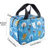 Nanxson Lunch Bag, Waterproof Picnic Bag, Insulated Bag for Travel,