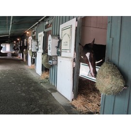 Freedom Feeder Mesh Net Full Day Slow Horse Feeder — Designed to Hold 30 lbs/4 Flakes of Hay and Feed Horse All Day — Reduces Horse Feeding Anxiety and Behavioral Issues