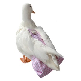 Duck Diapers, Chicken Diapers, Special Diapers for Poultry, Chicken, Duck and Goose Waterproof, Adjustable, Washable and Reusable Diapers，Poultry Supplies, Duck Supplies (11.02LB-13.23LB)
