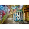 Renaiss 2.2 x 1.5 m Urban Street Graffiti Wall Photography