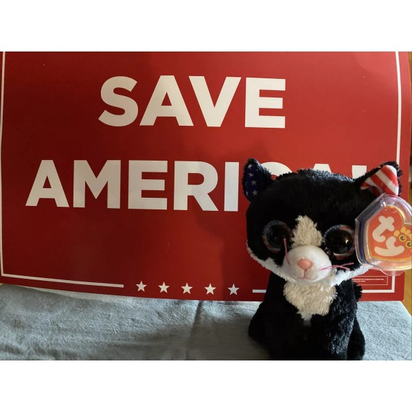Ty 6” Brand New Ty Beanie Boo Freedom