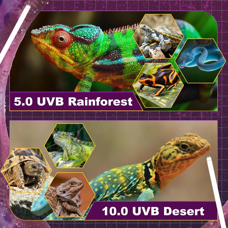 Reptispa 5.0 UVB Light for Reptiles, T5 HO 24 Watt