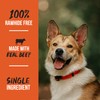 Grillerz Beef Knuckle, 1 Count, Rawhide Free, All Natural Dog