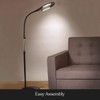Brightech LightView Pro - Full Page Magnifying Floor Lamp -