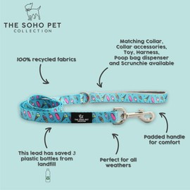 Ancol Adjustable Ice Cream Patterned Dog Lead Durable Secure Comfortable Padded Grip Sturdy Lightweight Pet Puppy Leash for Outdoor Running Walking