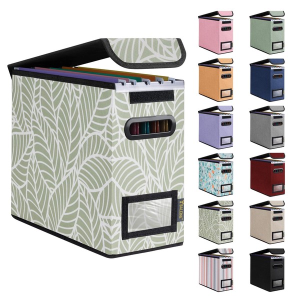 BALEINE File Organizer Box with Lid, Collapsible File Folder Organizer