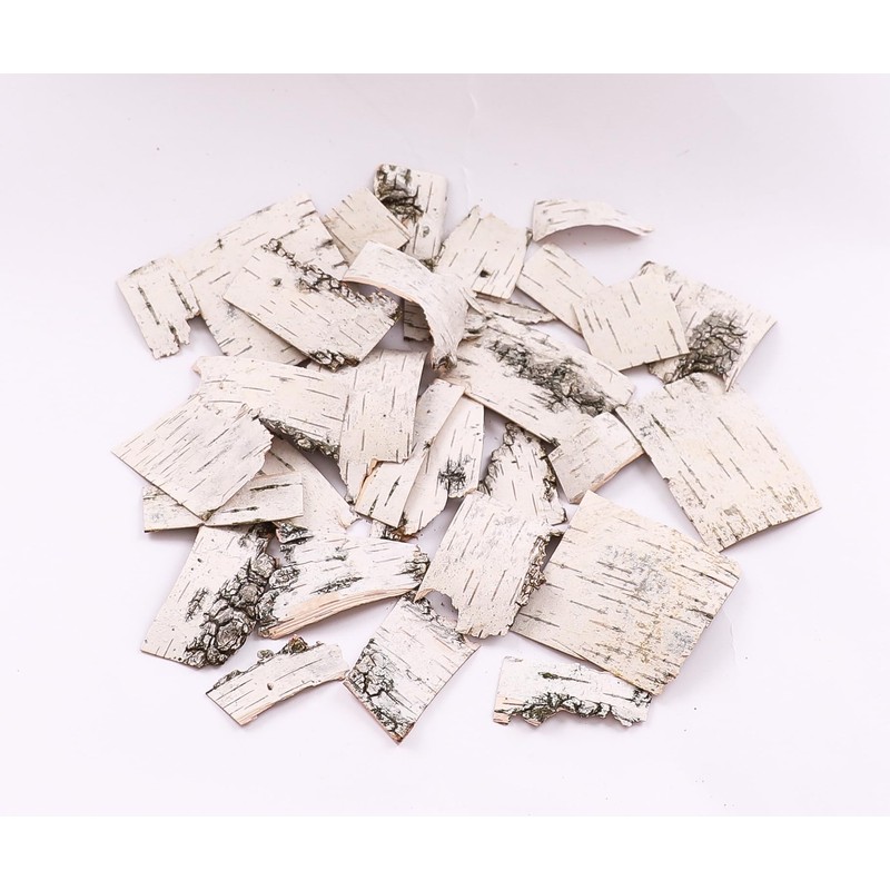 Natural Birch Bark Sheets for Decor Craft Different Sizes of