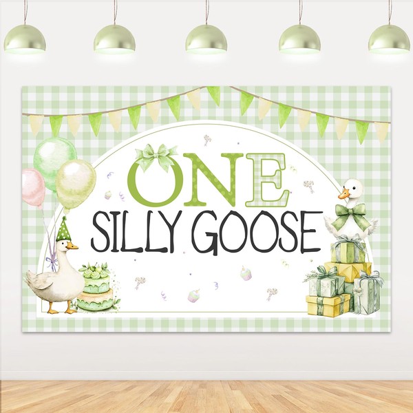 Jollyboom Goose 1st Birthday Party Decoration Boy, One Silly Goose