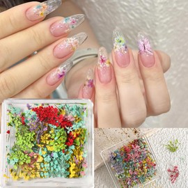 3D Dried Flowers for Nails,Colorful Dry Flower for Nails Kit - DIY Mini Mix Flower Petals Nail Stickers Natural Floral Dried Flower Decals for Nails Design Manicure Accessories 1 Box