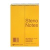 National Steno Notebook, Gregg-Ruled, Green Eye-Ease Paper, Brown Cover, 6"
