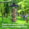 Bird Feeder Squirrel Proof Metal Bird Feeder Iron Automatic Hanging