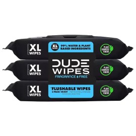 DUDE Wipes Flushable Wipes, XL Wet Wipes for at Home Use, Herbal Relief, 144 Ct
