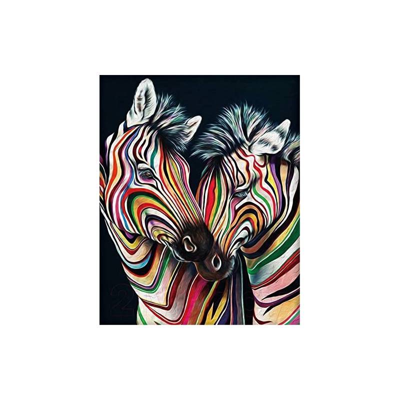 Meecaa Cross Stitch Kits 11 Count Stamped, Colored Zebra Animal