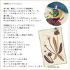 Kusunobashi Crest Weave [moritaMiW] Pocket Handkerchief, Wayside Fujin-san Green [A-68093-86-BG]