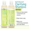 Clarifying Shampoo Sulfate-Free Detox for Natural Hair 12oz 4-Pack