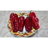 Large Sweet Antigua Sweet Pepper 10+ Seeds