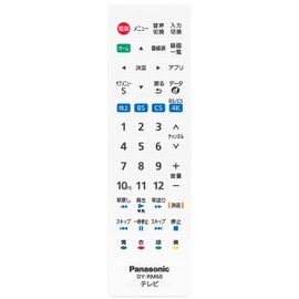 Panasonic DY-RM60 Remote Control