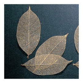 Earth Farms Dry Flower minisukerutonri-hu Large (20 Pack of) do051494 – 902 