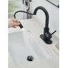Black Bathroom Sink Faucet with Pull Out Sprayer for Sink