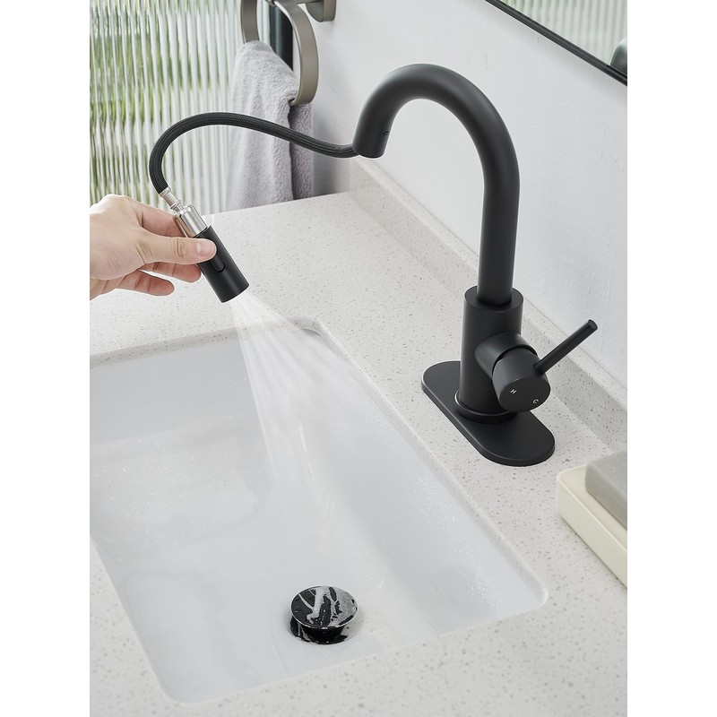 Black Bathroom Sink Faucet with Pull Out Sprayer for Sink