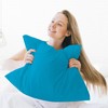 Pamposh Pillow Cases 2 Pack Super Soft Brushed Microfibre Pillow