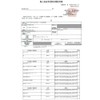 Meisei Disposable Gloves, Stretch Gloves, Elastomer, Poly Gloves (TPE), Large,