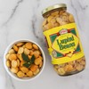 Ziyad Brand Premium Lupini Beans Snack, High Plant Protein, Keto,