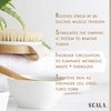 Dry Brushing Body Brush SCALA Natural Bristle Body Brush, Soft