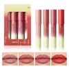 Set de Labiales y Delineadores, 4 Piezas, 01- para Labios