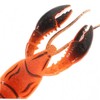 KOMBIUDA 4pcs Realistic Lobster Fishing Baits Portable Soft Lures for